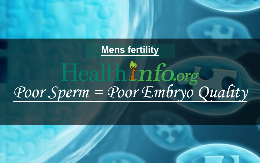 sperm embryo