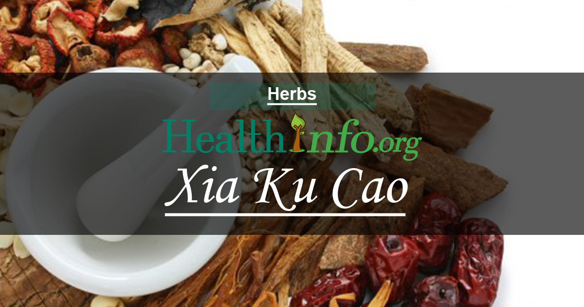 Xia Ku Cao Health Info