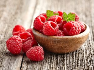 raspberry ketones dr oz