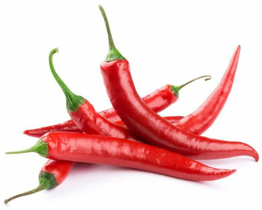 Capsaicin top rated fat burner for obese people